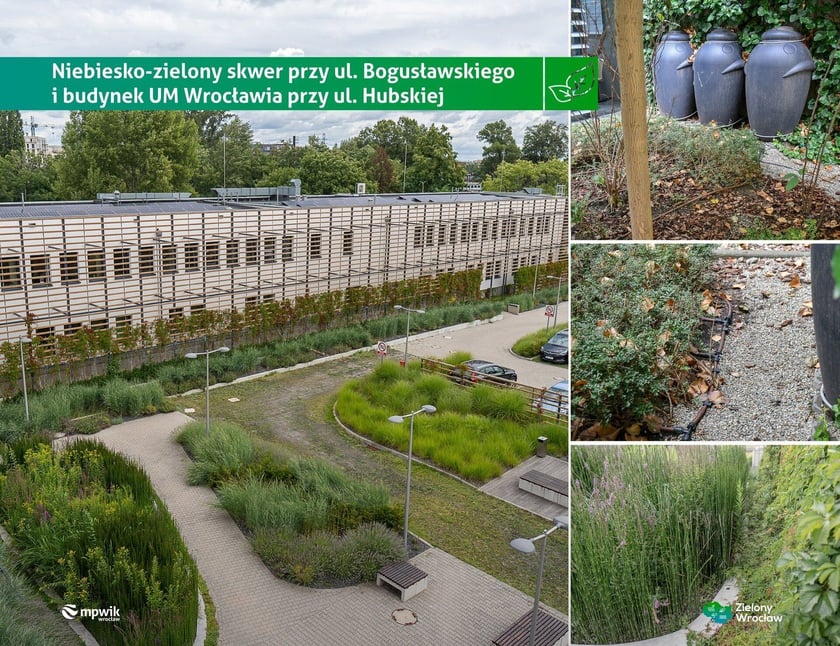 Ekologiczny budynek Urzędu Miejskiego Wrocławia przy ul. Hubskiej - ma zielone ściany, dach i panele słoneczne. / Niebiesko-zielony skwer przy ul. Bogusławskiego.