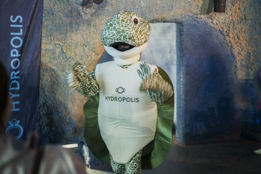 Z okazji Światowego Dnia Żółwia wrocławskie Hydropolis i ZOO Wrocław ogłosiły partnerstwo na rzecz środowiska i zagrożonych gatunków.