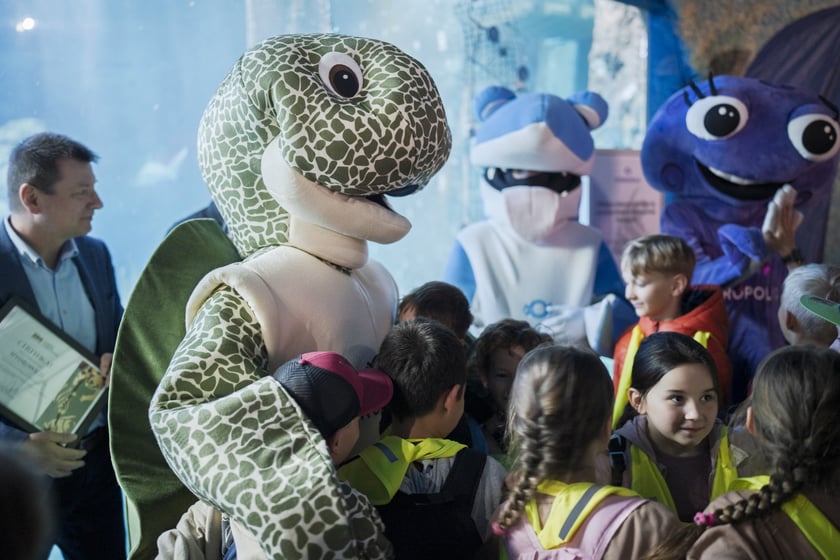 Z okazji Światowego Dnia Żółwia wrocławskie Hydropolis i ZOO Wrocław ogłosiły partnerstwo na rzecz środowiska i zagrożonych gatunków.