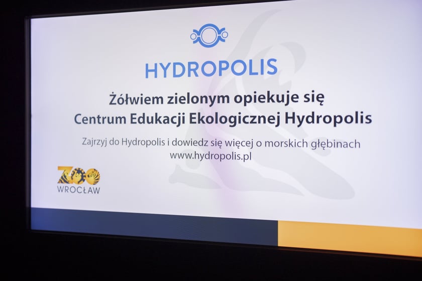 Z okazji Światowego Dnia Żółwia wrocławskie Hydropolis i ZOO Wrocław ogłosiły partnerstwo na rzecz środowiska i zagrożonych gatunków.