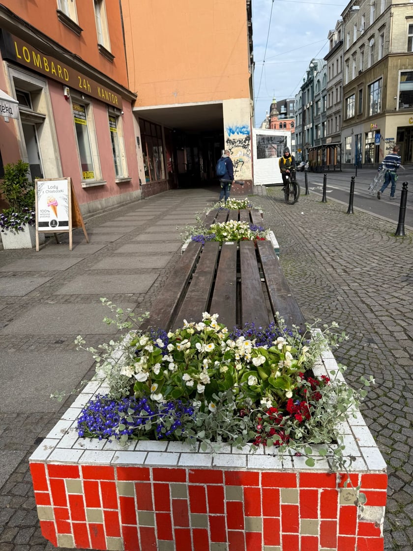 Kwiaty i byliny, które ozdobią Stare Miasto we Wrocławiu