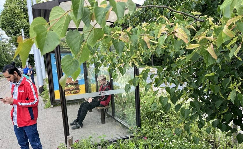 Zielony przystanek we Wrocławiu