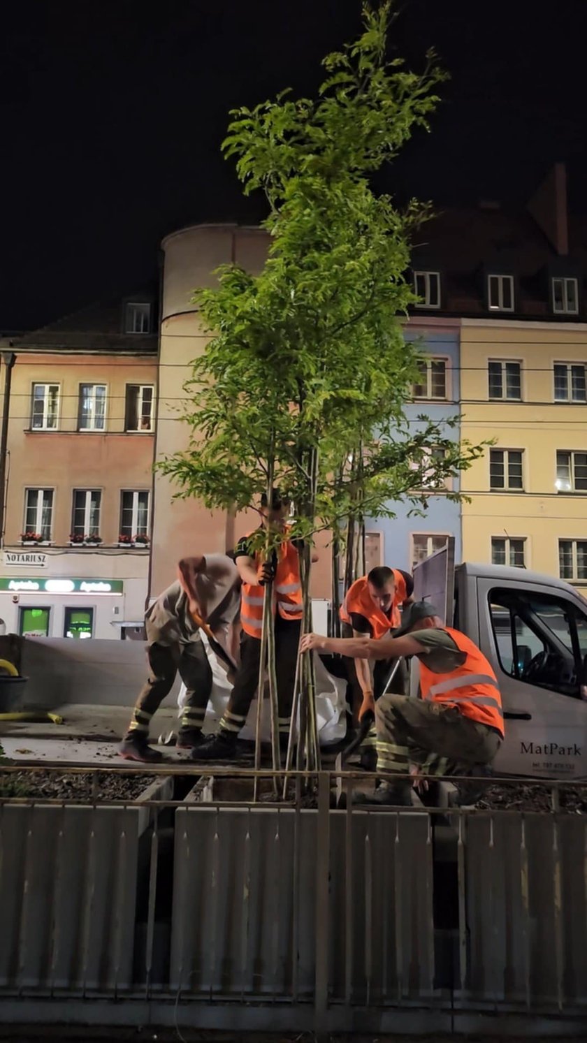 Zielony przystanek we Wrocławiu