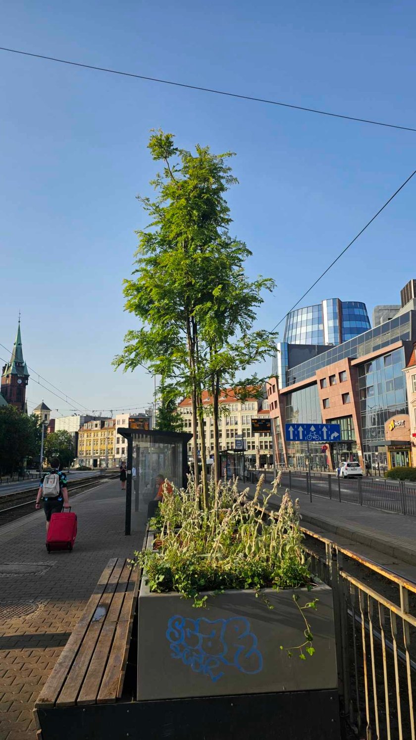 Zielony przystanek we Wrocławiu