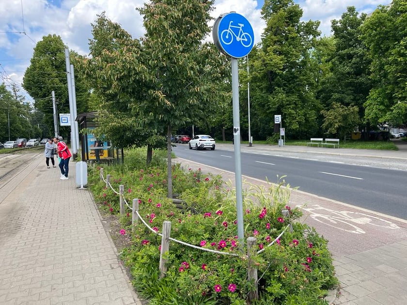 Zielony przystanek we Wrocławiu