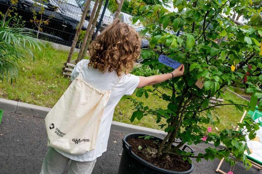 Ekologiczny Piknik Rodzinny Ekosystemu na terenie PSZOK przy ul. Szwajcarskiej