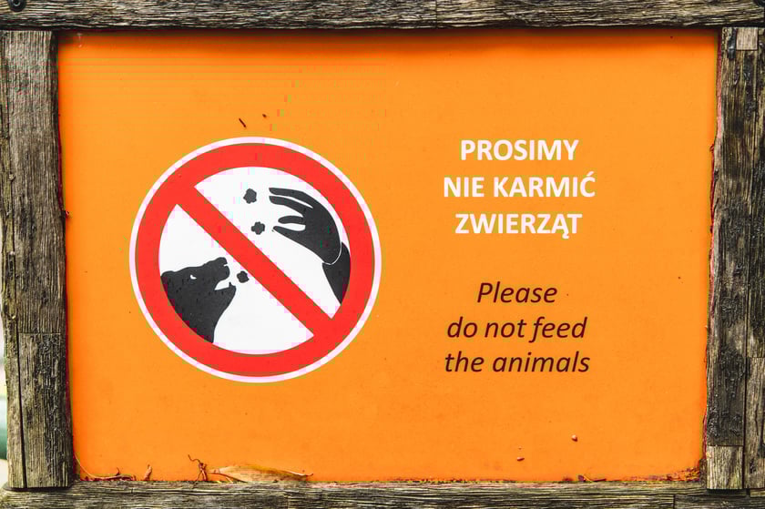 Tabliczka z napisem Prosimy nie karmić zwierząt
