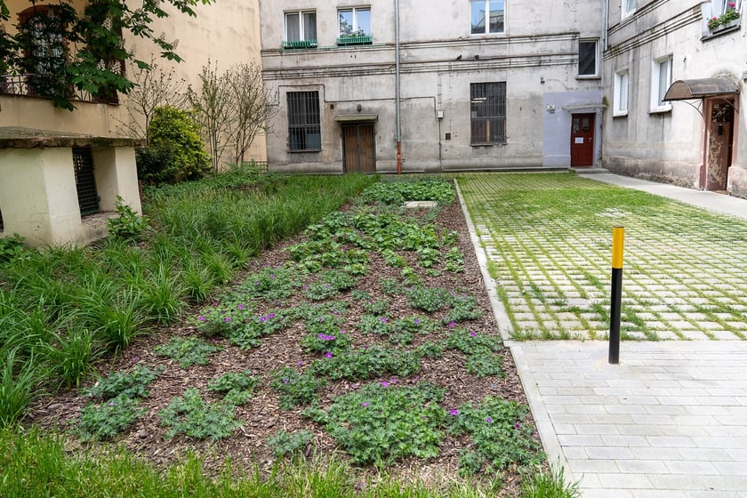 Podwórko GrowGreen - rozszczelnienie