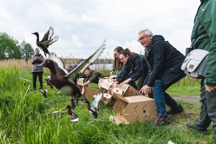 Projekt Pogorzałka trwa już 3 rok
