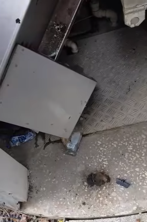 zniszczona toaleta w parku Strachocińskim
