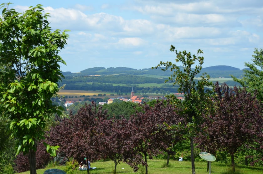 Arboretum Wojsławice, czerwiec 2025