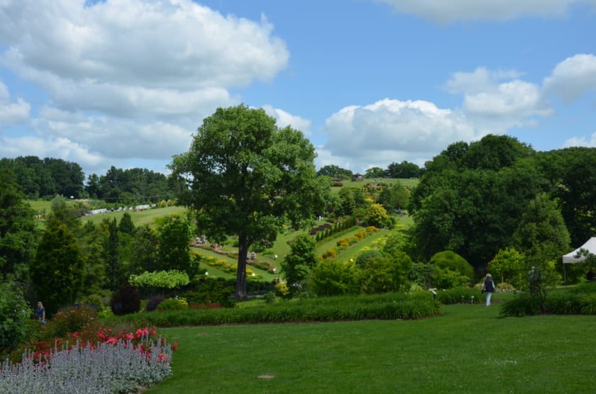 Arboretum Wojsławice, czerwiec 2025