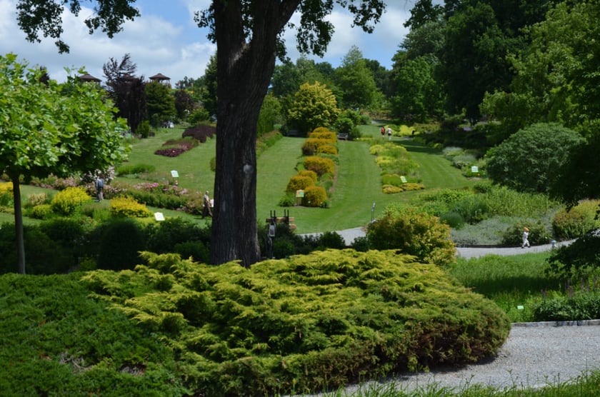 Arboretum Wojsławice, czerwiec 2025
