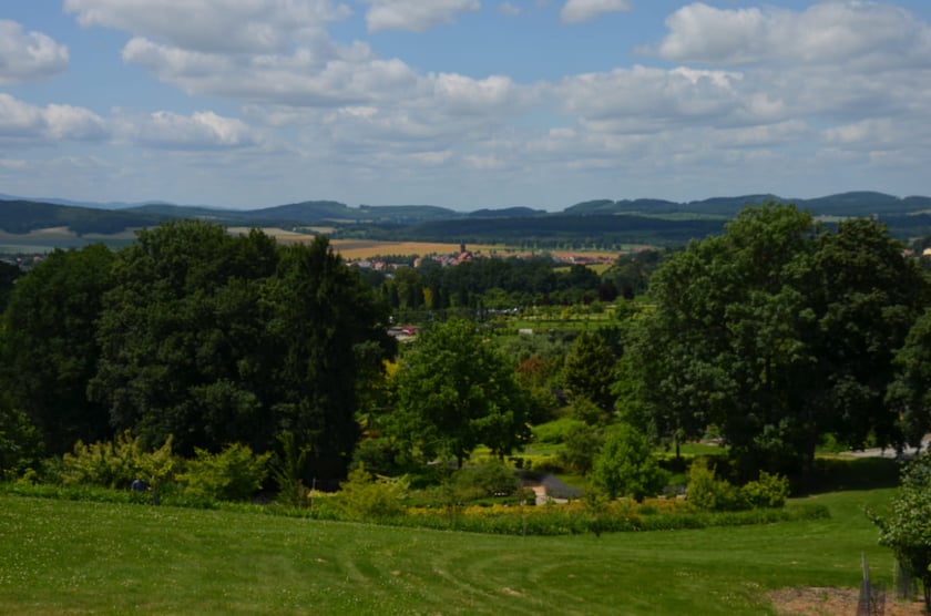 Arboretum Wojsławice, czerwiec 2025