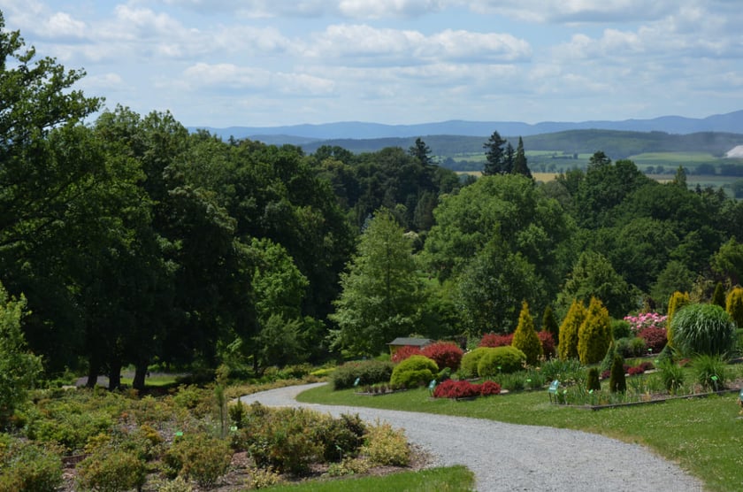 Arboretum Wojsławice, czerwiec 2025