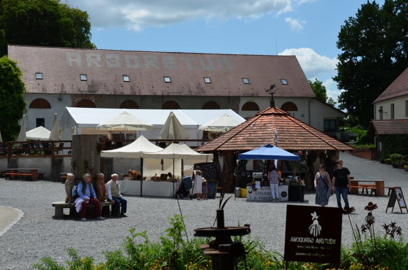 Arboretum Wojsławice, czerwiec 2025