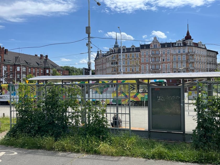 Zielony przystanek we Wrocławiu