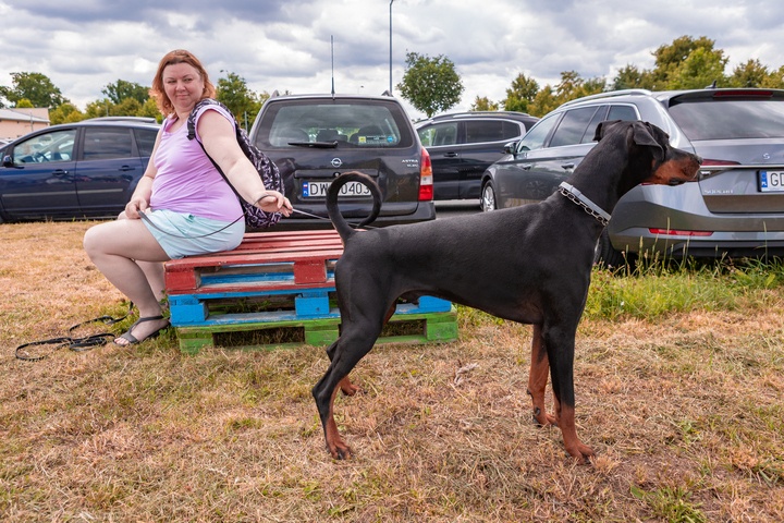 Piknik z okazji Dnia Psa we wrocławskim Schronisku dla Bezdomnych Zwierząt przy ul. Ślazowej, 29 czerwca 2025