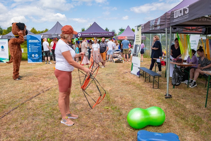 Piknik z okazji Dnia Psa we wrocławskim Schronisku dla Bezdomnych Zwierząt przy ul. Ślazowej, 29 czerwca 2025