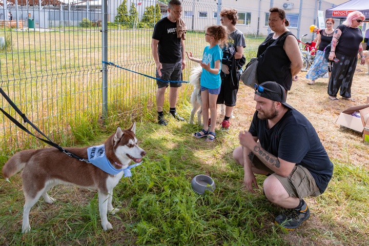 Piknik z okazji Dnia Psa we wrocławskim Schronisku dla Bezdomnych Zwierząt przy ul. Ślazowej, 29 czerwca 2025