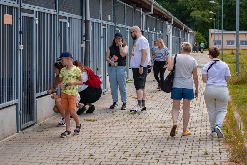 Piknik z okazji Dnia Psa we wrocławskim Schronisku dla Bezdomnych Zwierząt przy ul. Ślazowej, 29 czerwca 2025