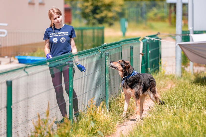Piknik z okazji Dnia Psa we wrocławskim Schronisku dla Bezdomnych Zwierząt przy ul. Ślazowej, 29 czerwca 2025