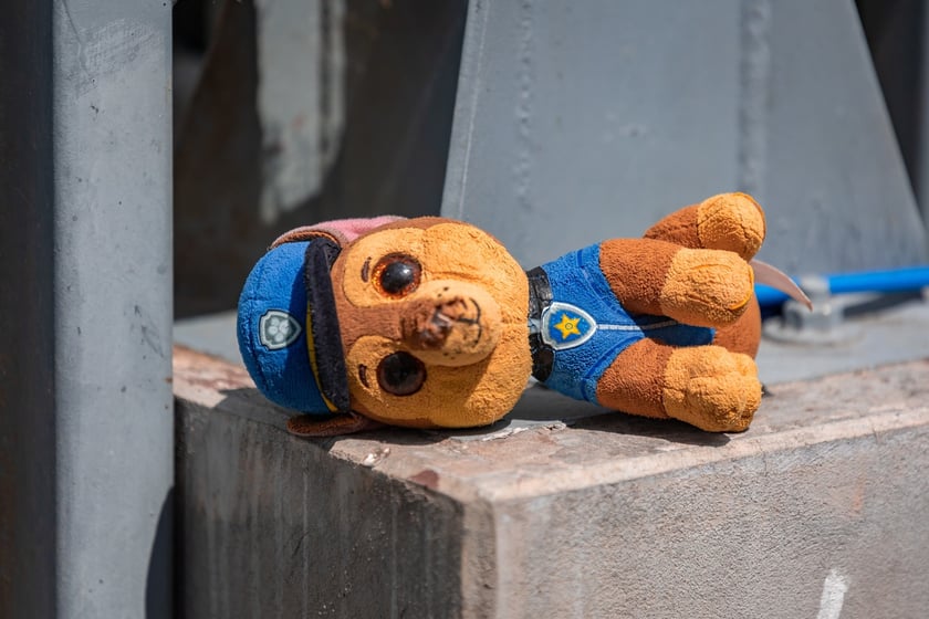 Piknik z okazji Dnia Psa we wrocławskim Schronisku dla Bezdomnych Zwierząt przy ul. Ślazowej, 29 czerwca 2025