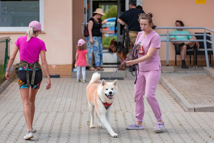 Piknik z okazji Dnia Psa we wrocławskim Schronisku dla Bezdomnych Zwierząt przy ul. Ślazowej, 29 czerwca 2025