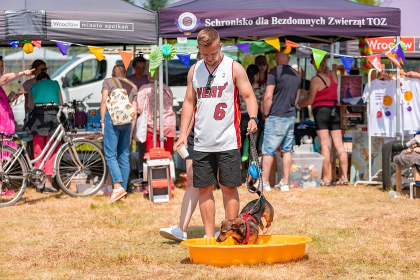 Piknik z okazji Dnia Psa we wrocławskim Schronisku dla Bezdomnych Zwierząt przy ul. Ślazowej, 29 czerwca 2025