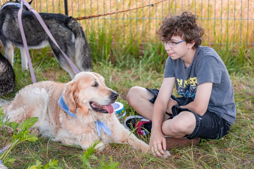 Piknik z okazji Dnia Psa we wrocławskim Schronisku dla Bezdomnych Zwierząt przy ul. Ślazowej, 29 czerwca 2025