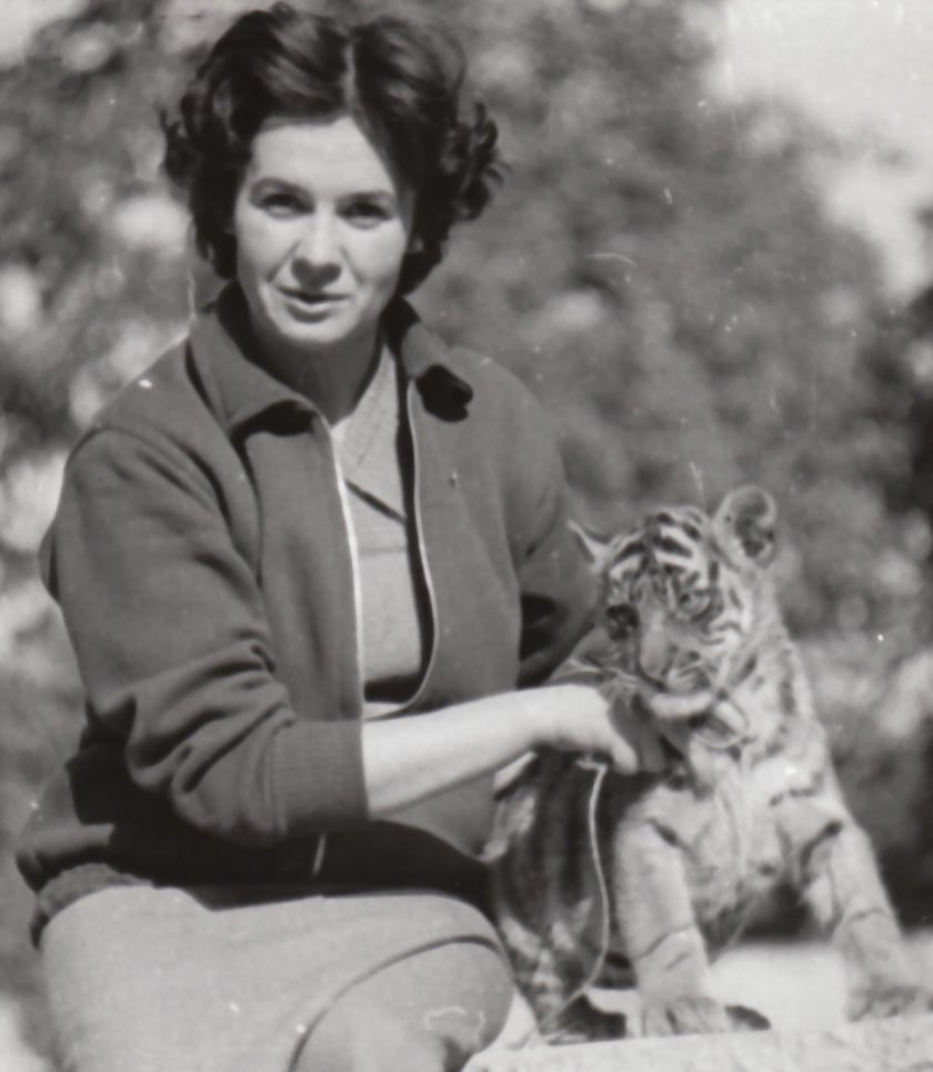 Hanna Gucwińska