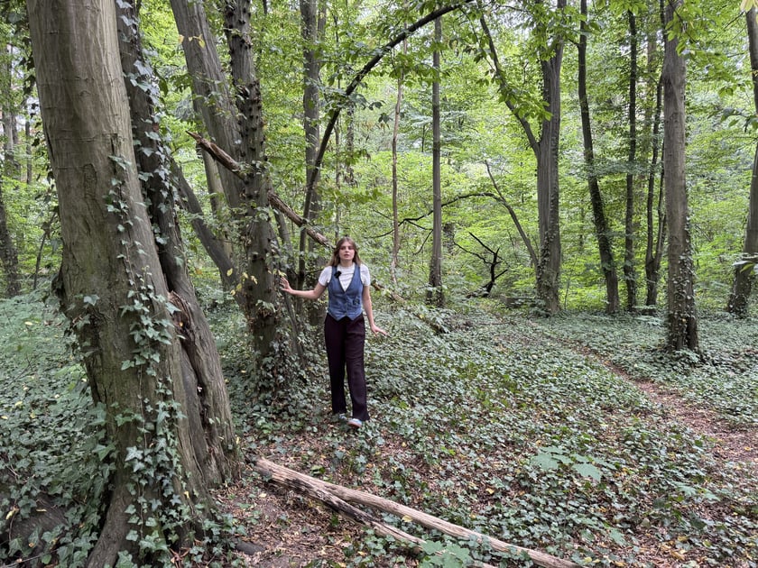 Gra Geocaching w jednym z wrocławskich parków
