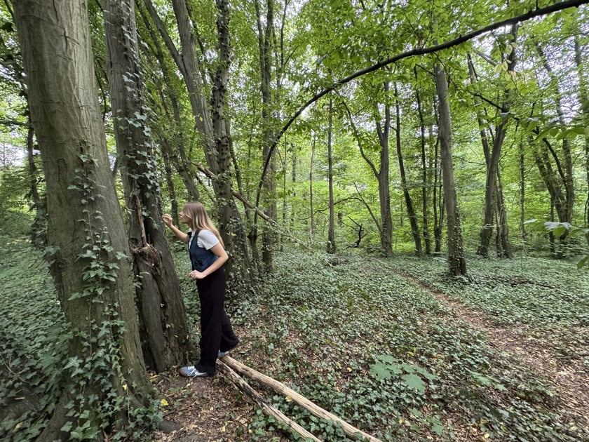 Gra Geocaching w jednym z wrocławskich parków