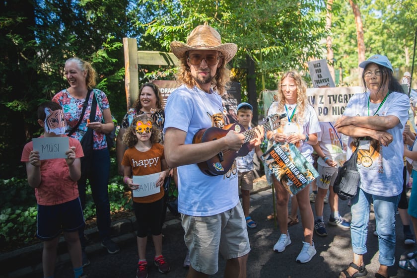 Pierwsze urodziny tygrysów-czworaczków z wrocławskiego zoo