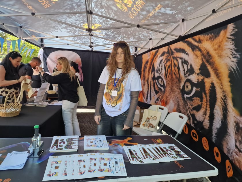 Pierwsze urodziny tygrysów-czworaczków z wrocławskiego zoo