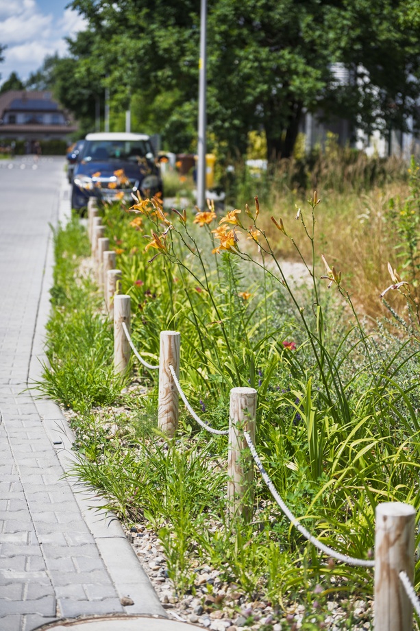 Zielono-niebieska infrastruktura - ul. Przemiłowska