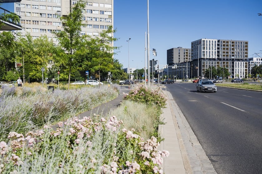 Zielono-niebieska infrastruktura - Legnicka/Poznańska (skrzyżowanie)