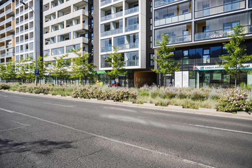 Zielono-niebieska infrastruktura - Legnicka/Poznańska (skrzyżowanie)