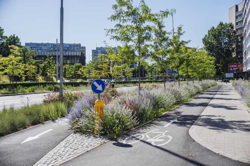 Zielono-niebieska infrastruktura - Legnicka/Poznańska (skrzyżowanie)