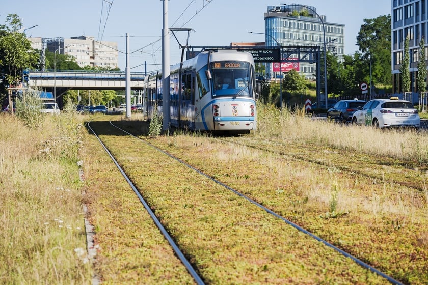 Torowisko porośnięte trawą przy ul. Legnickiej