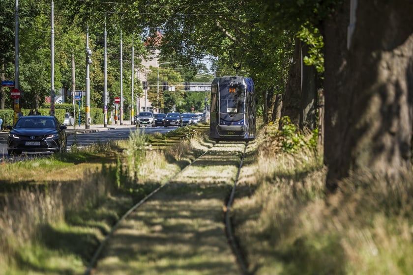 Torowisko porośnięte trawą przy al. Hallera