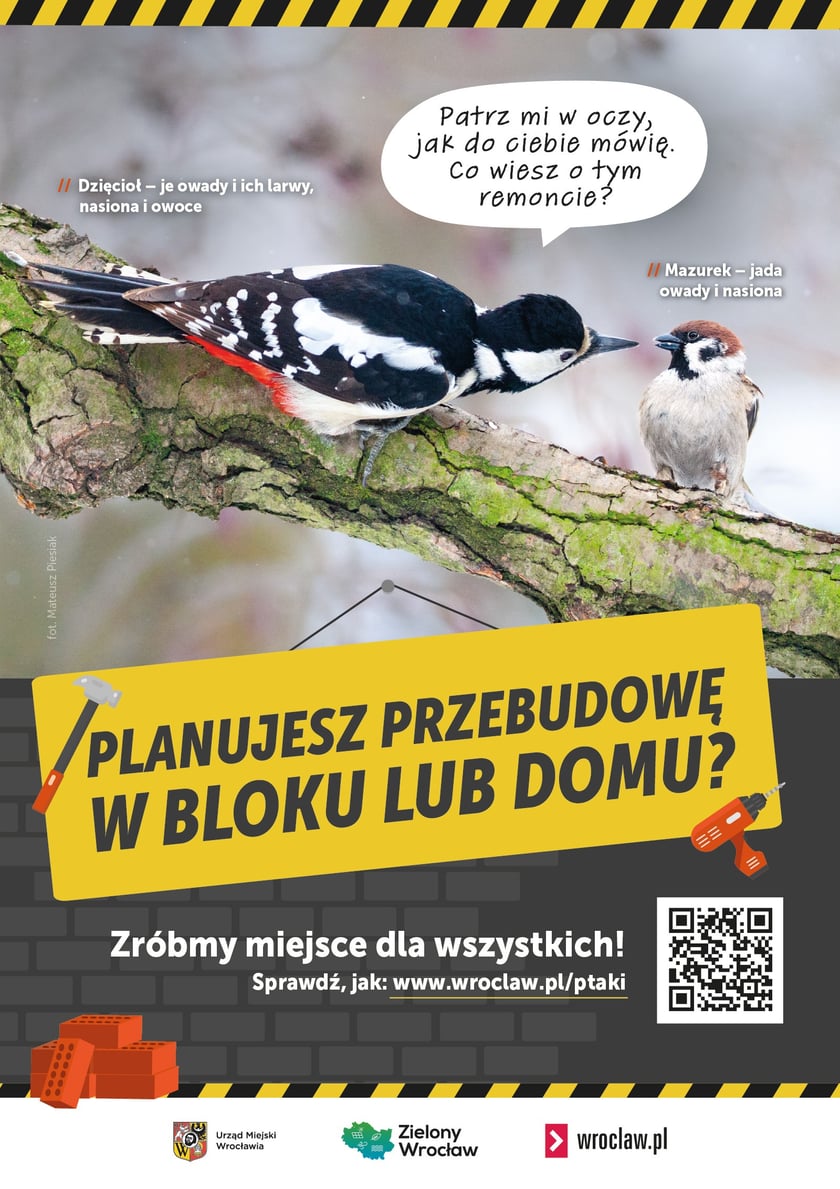 Plakaty do kampanii Zróbmy miejsce dla wszystkich