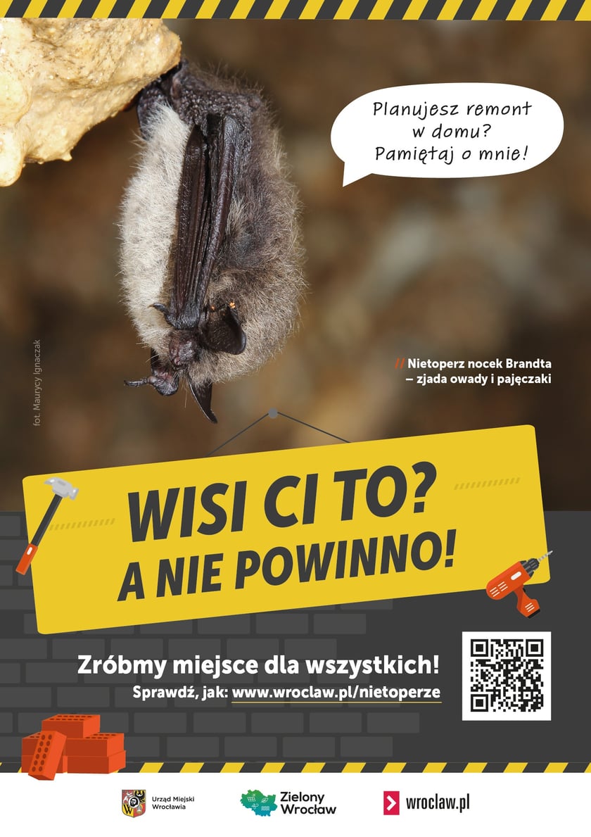 Plakaty do kampanii Zróbmy miejsce dla wszystkich