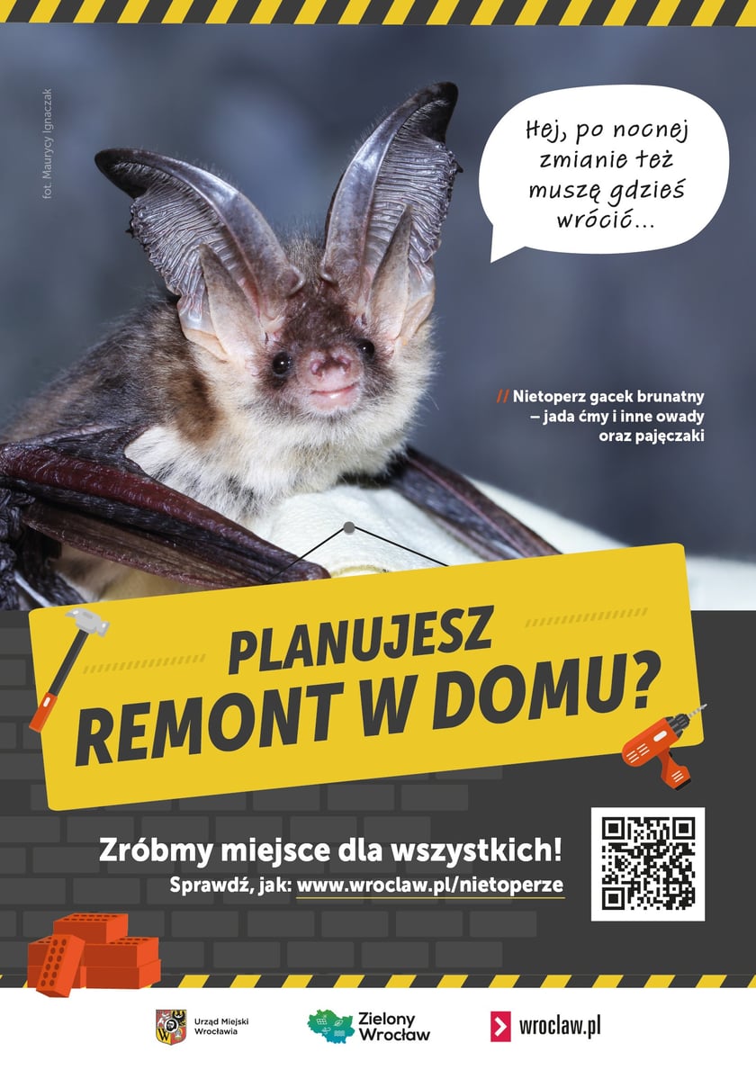 Plakaty do kampanii Zróbmy miejsce dla wszystkich