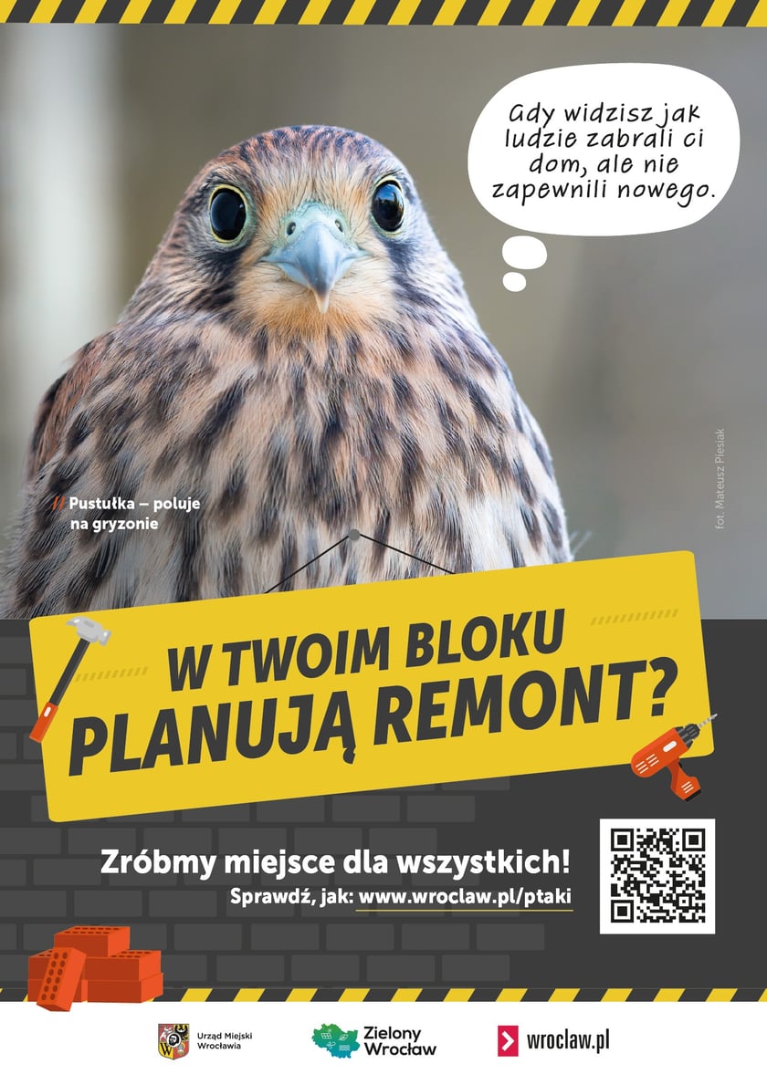 Plakaty do kampanii Zróbmy miejsce dla wszystkich