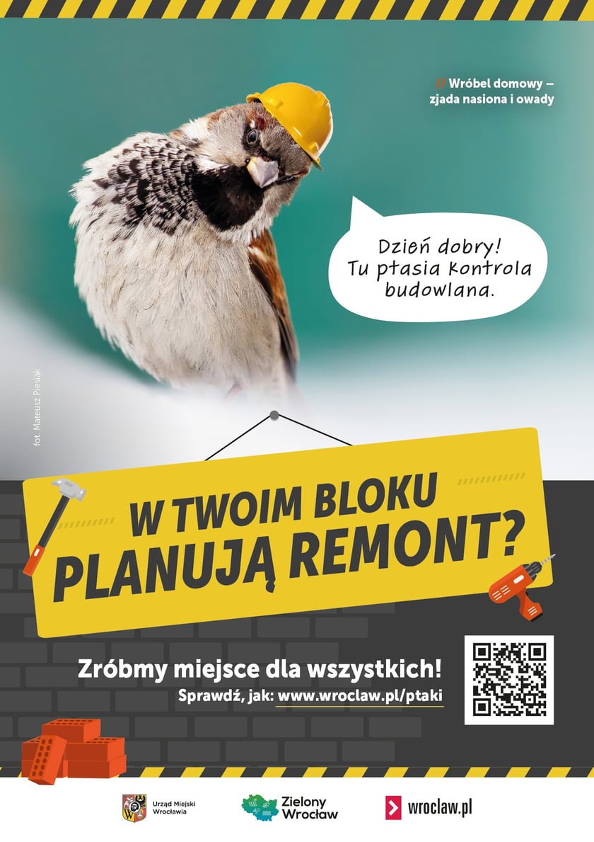 Plakaty do kampanii Zróbmy miejsce dla wszystkich