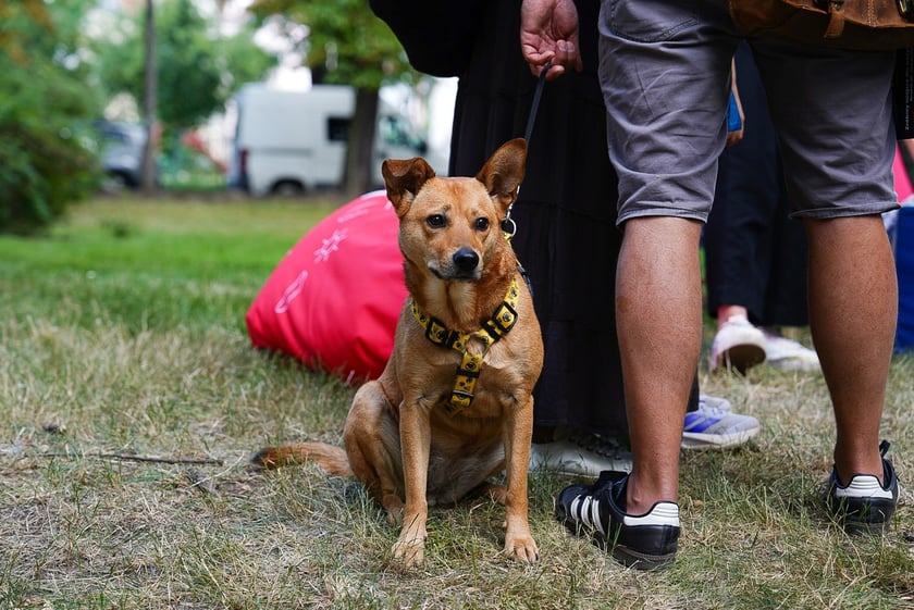 Wakacje z Zielonym Wrocławiem – ekologiczny minipiknik na osiedlu Leśnica.
