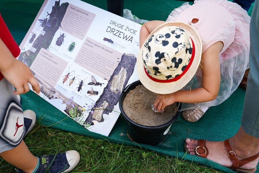 Piknik Wakacje z zielonym Wrocławiem w parku Brochowskim