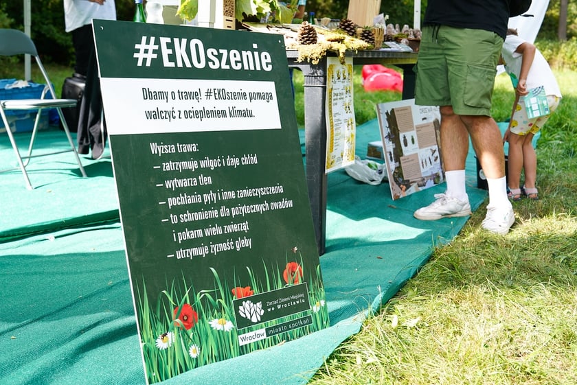 Piknik Wakacje z zielonym Wrocławiem w parku Brochowskim