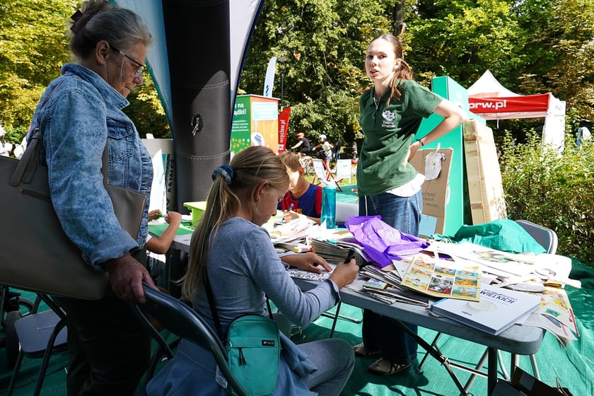 Piknik Wakacje z zielonym Wrocławiem w parku Brochowskim